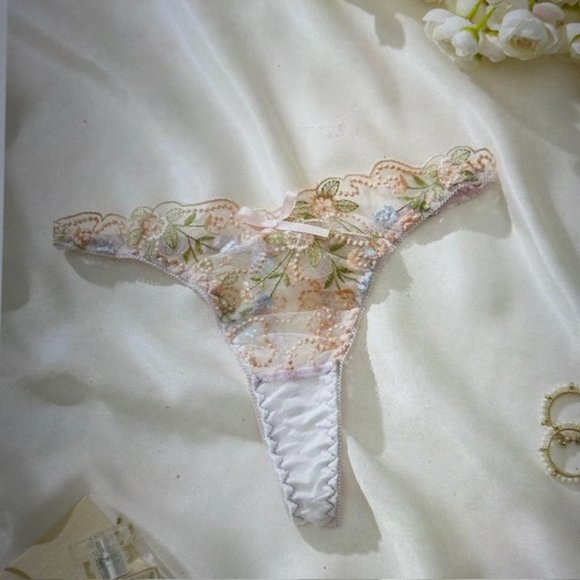 Brand New Embroidery Mesh Panty Various - Picture 3 of 5